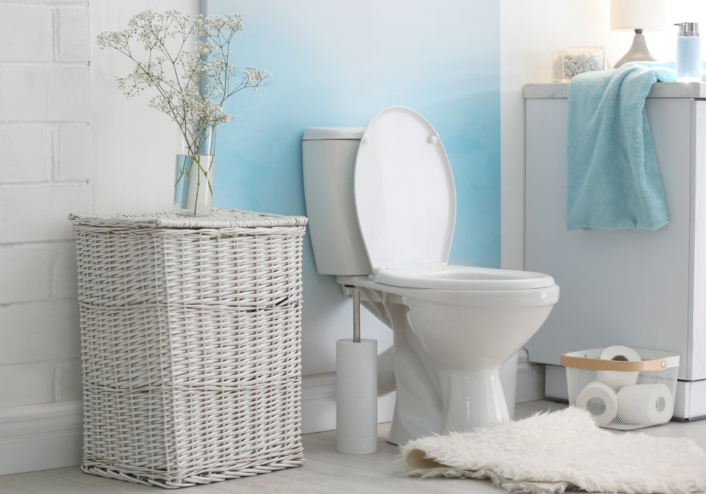 Toilet Repair in rockford